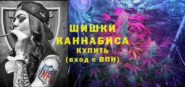 не бодяженный Горно-Алтайск