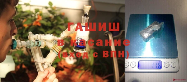 сатива Гусь-Хрустальный