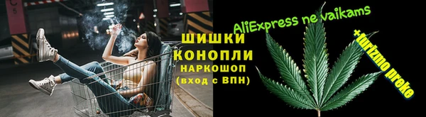 не бодяженный Горно-Алтайск