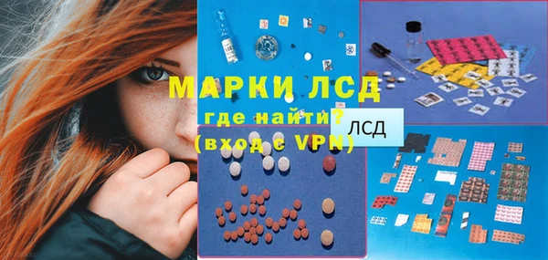 сатива Гусь-Хрустальный
